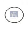 RENAULT 5003065201 Seal Ring